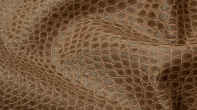 Reptil